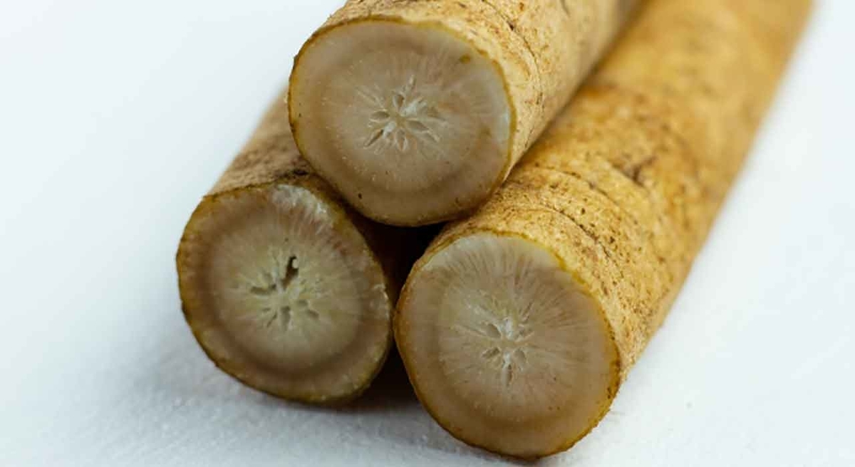 「5月10日はゴボウの日」野菜と果物の記念日シリーズその13【適材適食】小園亜由美（管理栄養士・野菜ソムリエ上級プロ）糖尿病専門・甲状腺専門クリニック勤務＠福岡姪浜・福岡天神
