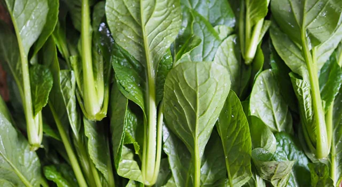 「5月27日はコマツナの日」野菜と果物の記念日シリーズその14【適材適食】小園亜由美(管理栄養士・野菜ソムリエ上級プロ)糖尿病専門・甲状腺専門クリニック勤務@福岡姪浜・福岡天神