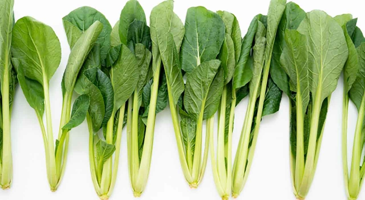 「5月27日はコマツナの日」野菜と果物の記念日シリーズその14【適材適食】小園亜由美(管理栄養士・野菜ソムリエ上級プロ)糖尿病専門・甲状腺専門クリニック勤務@福岡姪浜・福岡天神