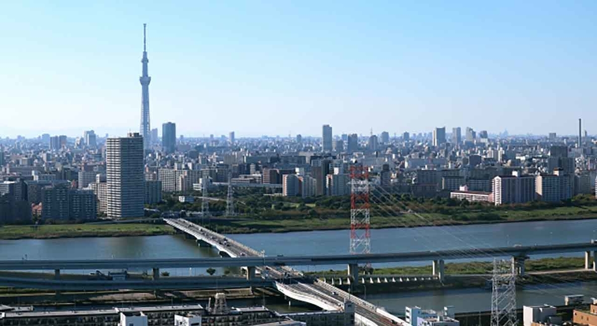 「5月27日はコマツナの日」野菜と果物の記念日シリーズその14【適材適食】小園亜由美(管理栄養士・野菜ソムリエ上級プロ)糖尿病専門・甲状腺専門クリニック勤務@福岡姪浜・福岡天神