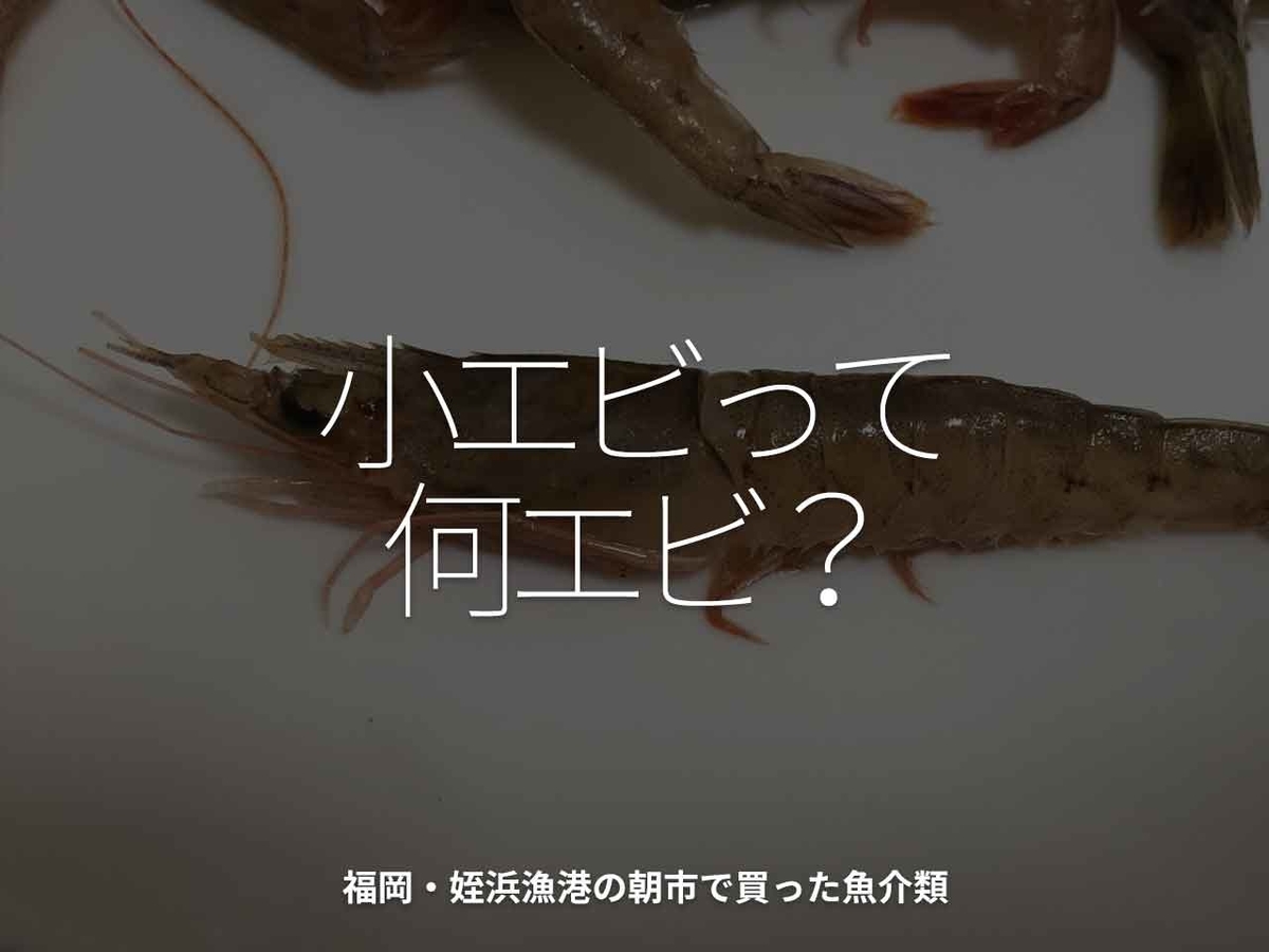 「小エビって何エビ？」福岡・姪浜漁港の朝市で買った魚介類【適材適食】小園亜由美（管理栄養士・野菜ソムリエ上級プロ）糖尿病専門・甲状腺専門クリニック勤務＠福岡姪浜・福岡天神