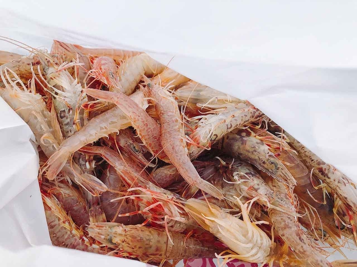 1705食目 小エビって何エビ 福岡 姪浜漁港の朝市で買った魚介類 適材適食 てきざいてきしょく