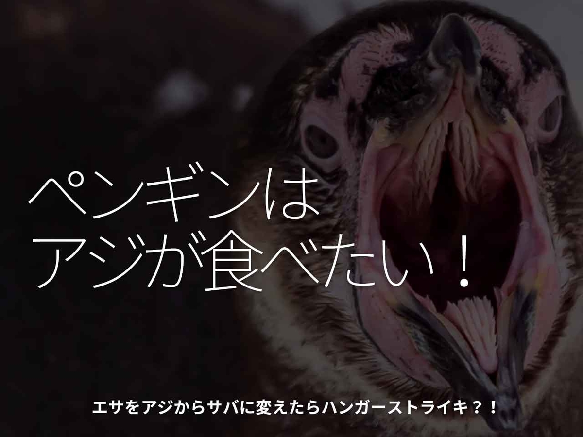 1718食目 ペンギンはアジが食べたい エサをアジからサバに変えたらハンガーストライキ 適材適食 てきざいてきしょく