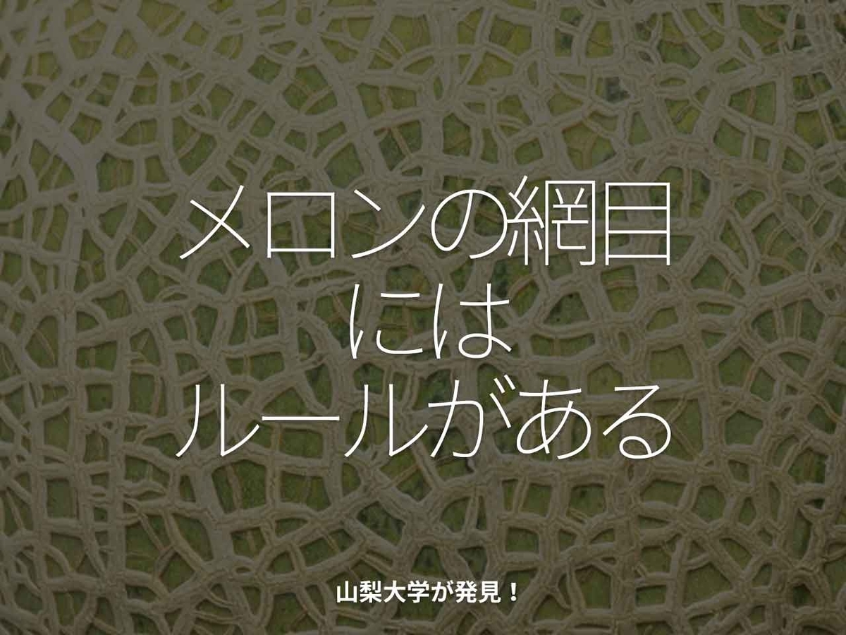 1805食目 メロンの網目にはルールがある 山梨大学が発見 適材適食 てきざいてきしょく