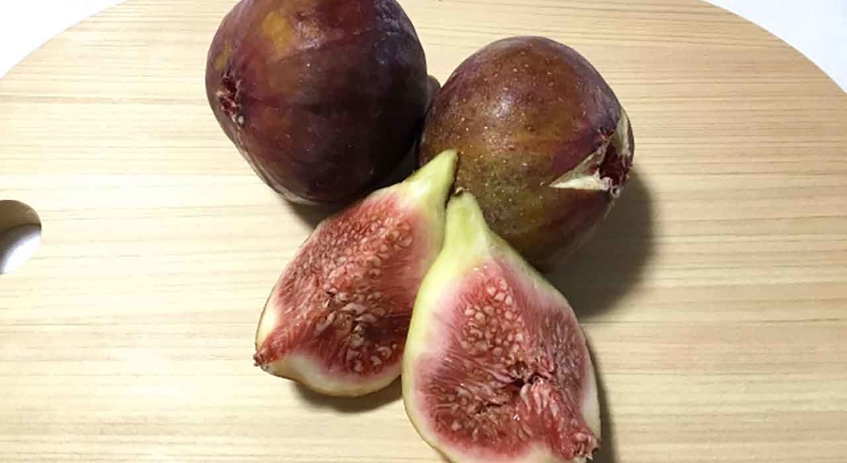 1824食目「不老不死と言われる果物」イチジク - 適材適食 -てき