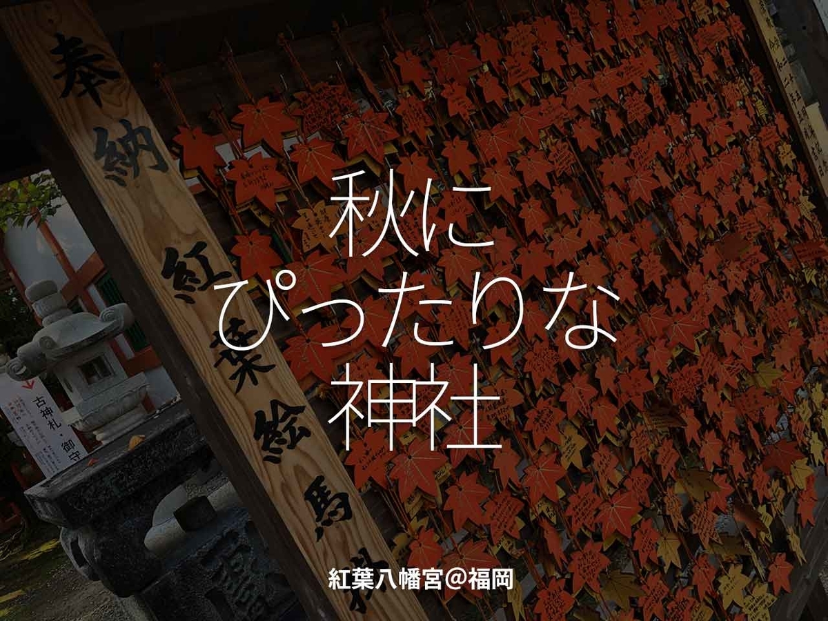 「秋にぴったりな神社」紅葉八幡宮@福岡【適材適食】小園亜由美(管理栄養士・野菜ソムリエ上級プロ)糖尿病専門・甲状腺専門クリニック勤務@福岡姪浜・福岡天神