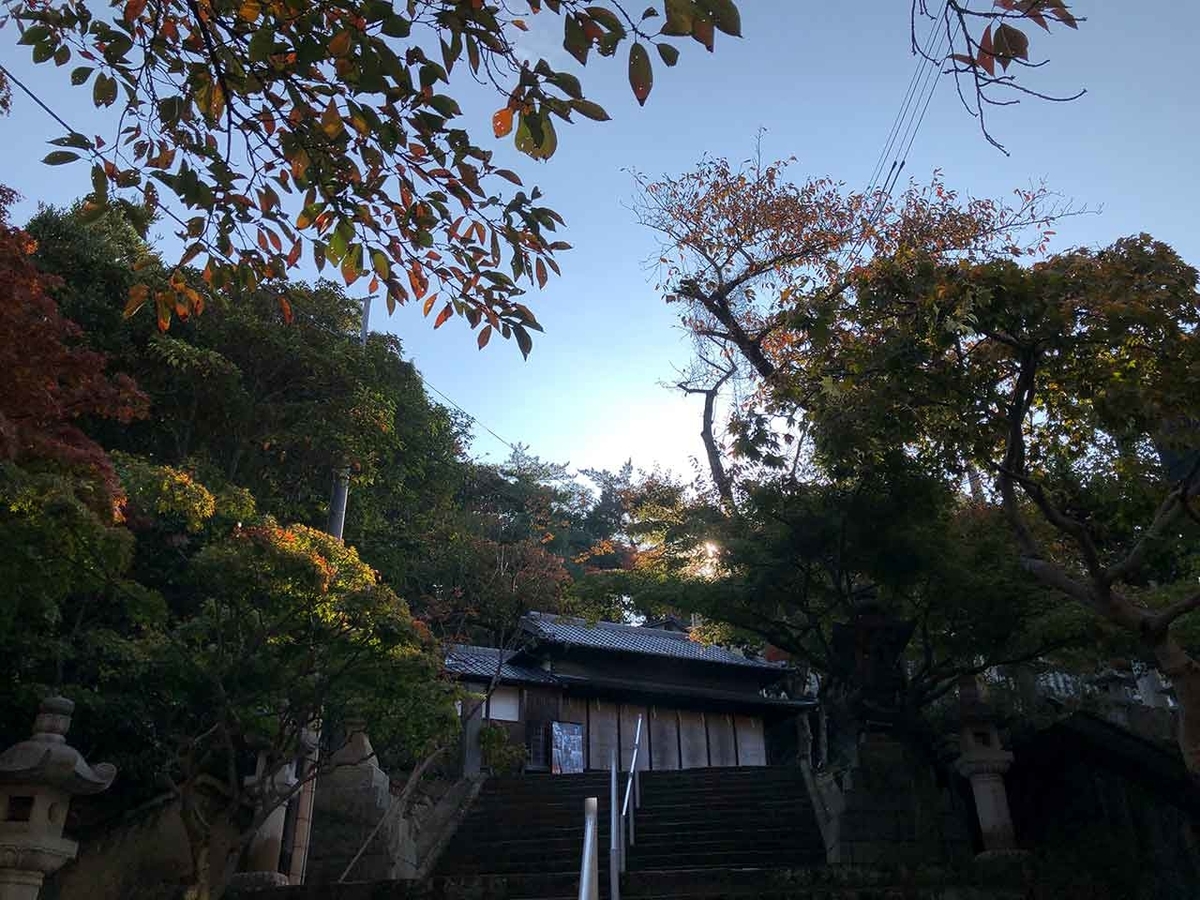 「秋にぴったりな神社」紅葉八幡宮@福岡【適材適食】小園亜由美(管理栄養士・野菜ソムリエ上級プロ)糖尿病専門・甲状腺専門クリニック勤務@福岡姪浜・福岡天神
