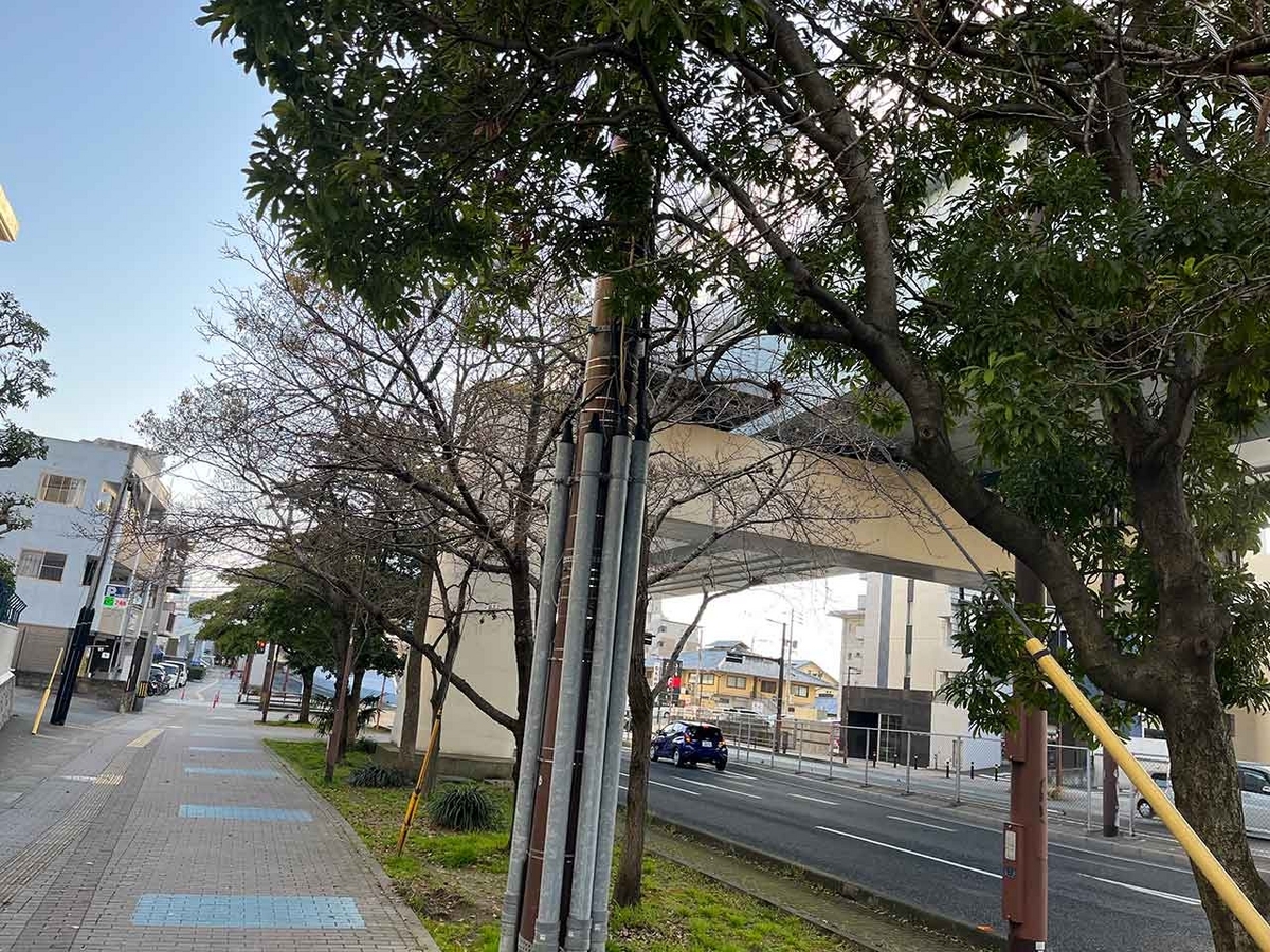 「私のペースで楽しくランラン♪ランニング72本目」咲き始めた桜を探しながらPayPayドームを目指すコース＠福岡【適材適食】小園亜由美（管理栄養士・野菜ソムリエ上級プロ）糖尿病専門・甲状腺専門クリニック勤務＠福岡姪浜・福岡天神