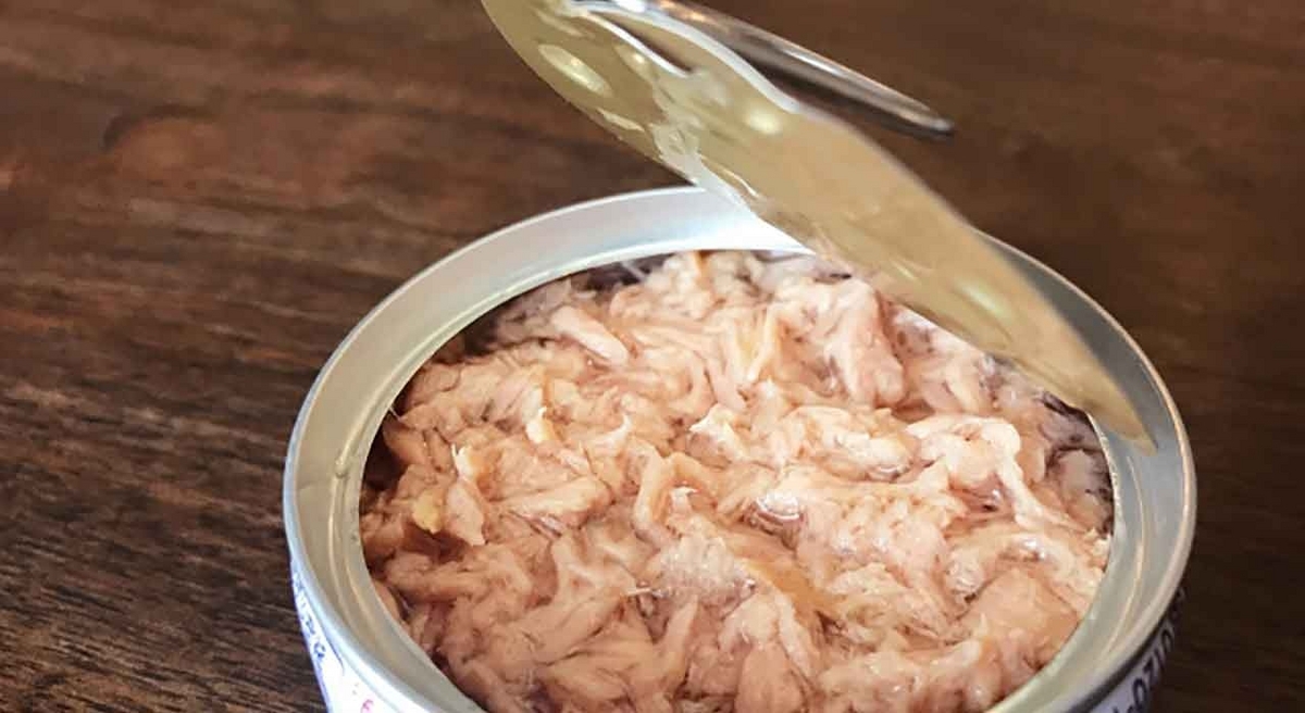 「旬の役魚 5月【カツオ】」今が旬★　美味しくて＋栄養価が高くて＋安くて＝元気にしてくれる季節の魚介を紹介【適材適食】小園亜由美（管理栄養士・野菜ソムリエ上級プロ）糖尿病専門・甲状腺専門クリニック勤務＠福岡姪浜・福岡天神