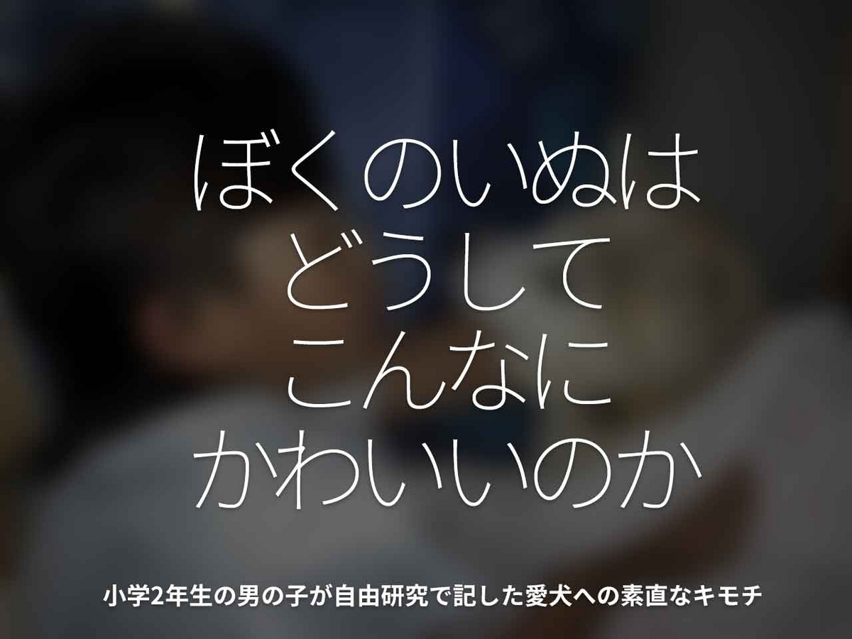 「ぼくのいぬはどうしてこんなにかわいいのか」小学2年生の男の子が自由研究で記した愛犬への素直なキモチ【適材適食】小園亜由美（管理栄養士・野菜ソムリエ上級プロ）糖尿病専門・甲状腺専門クリニック勤務＠福岡姪浜・福岡天神