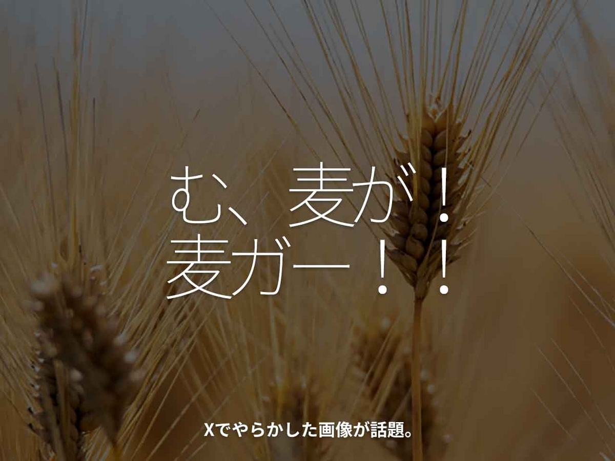 「む、麦が！麦ガー！！」Xでやらかした画像が話題。【適材適食】小園亜由美（管理栄養士・野菜ソムリエ上級プロ）糖尿病専門・甲状腺専門二田哲博クリニック勤務＠福岡姪浜・福岡天神