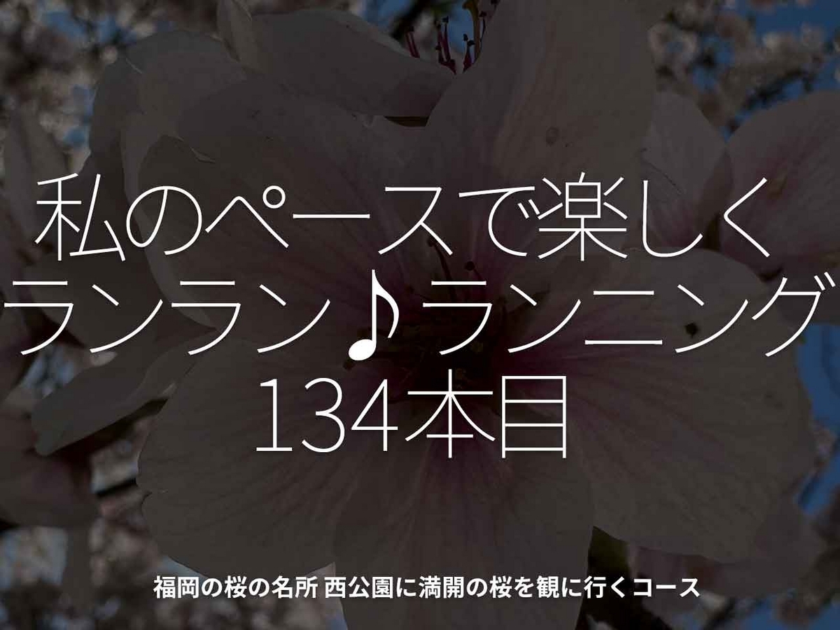 「私のペースで楽しくランラン♪ランニング134本目」福岡の桜の名所 西公園に満開の桜を観に行くコース【適材適食】小園亜由美（管理栄養士・野菜ソムリエ上級プロ）糖尿病専門・甲状腺専門二田哲博クリニック勤務＠福岡姪浜・福岡天神