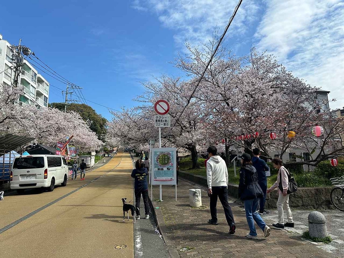 「私のペースで楽しくランラン♪ランニング134本目」福岡の桜の名所 西公園に満開の桜を観に行くコース【適材適食】小園亜由美（管理栄養士・野菜ソムリエ上級プロ）糖尿病専門・甲状腺専門二田哲博クリニック勤務＠福岡姪浜・福岡天神