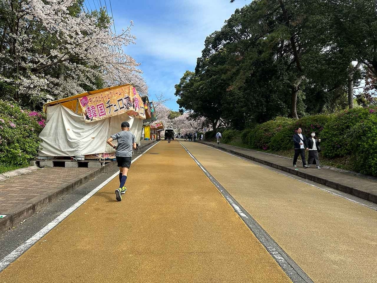 「私のペースで楽しくランラン♪ランニング134本目」福岡の桜の名所 西公園に満開の桜を観に行くコース【適材適食】小園亜由美（管理栄養士・野菜ソムリエ上級プロ）糖尿病専門・甲状腺専門二田哲博クリニック勤務＠福岡姪浜・福岡天神