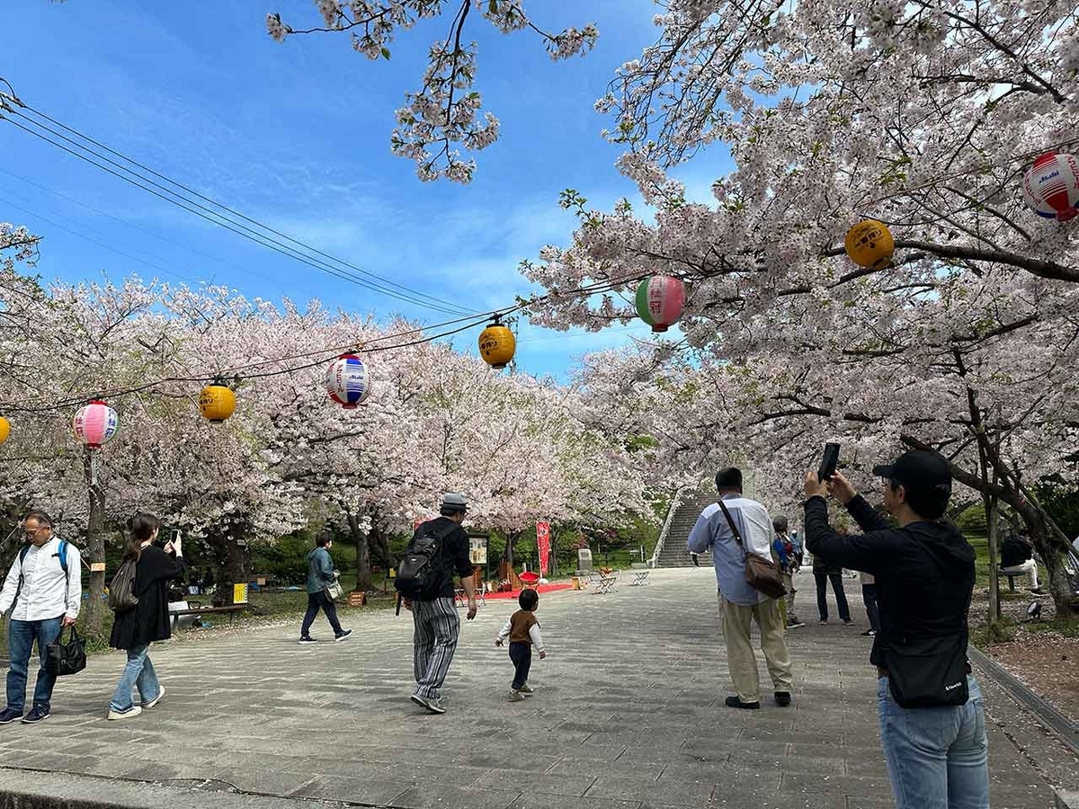 「私のペースで楽しくランラン♪ランニング134本目」福岡の桜の名所 西公園に満開の桜を観に行くコース【適材適食】小園亜由美（管理栄養士・野菜ソムリエ上級プロ）糖尿病専門・甲状腺専門二田哲博クリニック勤務＠福岡姪浜・福岡天神