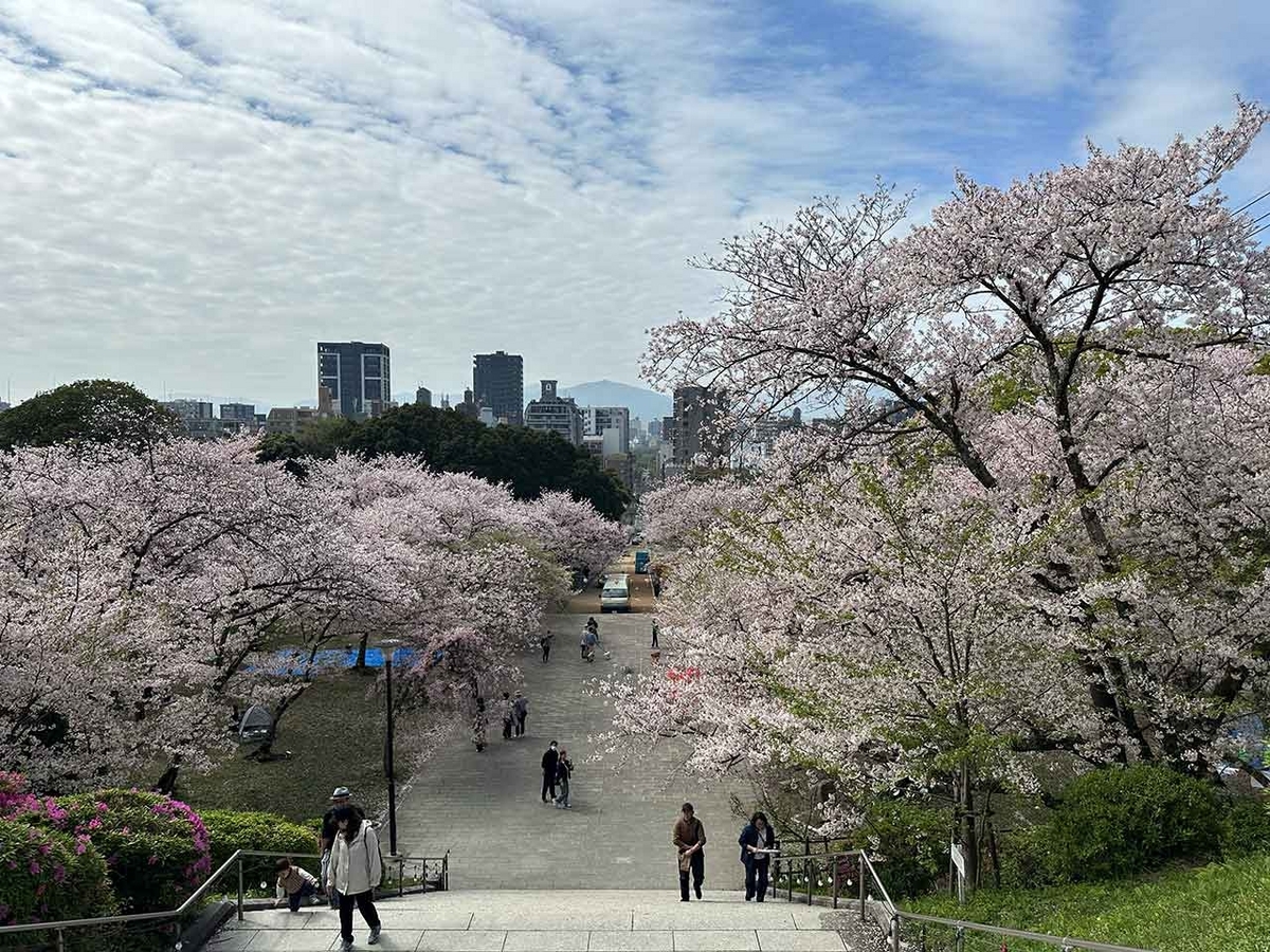 「私のペースで楽しくランラン♪ランニング134本目」福岡の桜の名所 西公園に満開の桜を観に行くコース【適材適食】小園亜由美（管理栄養士・野菜ソムリエ上級プロ）糖尿病専門・甲状腺専門二田哲博クリニック勤務＠福岡姪浜・福岡天神