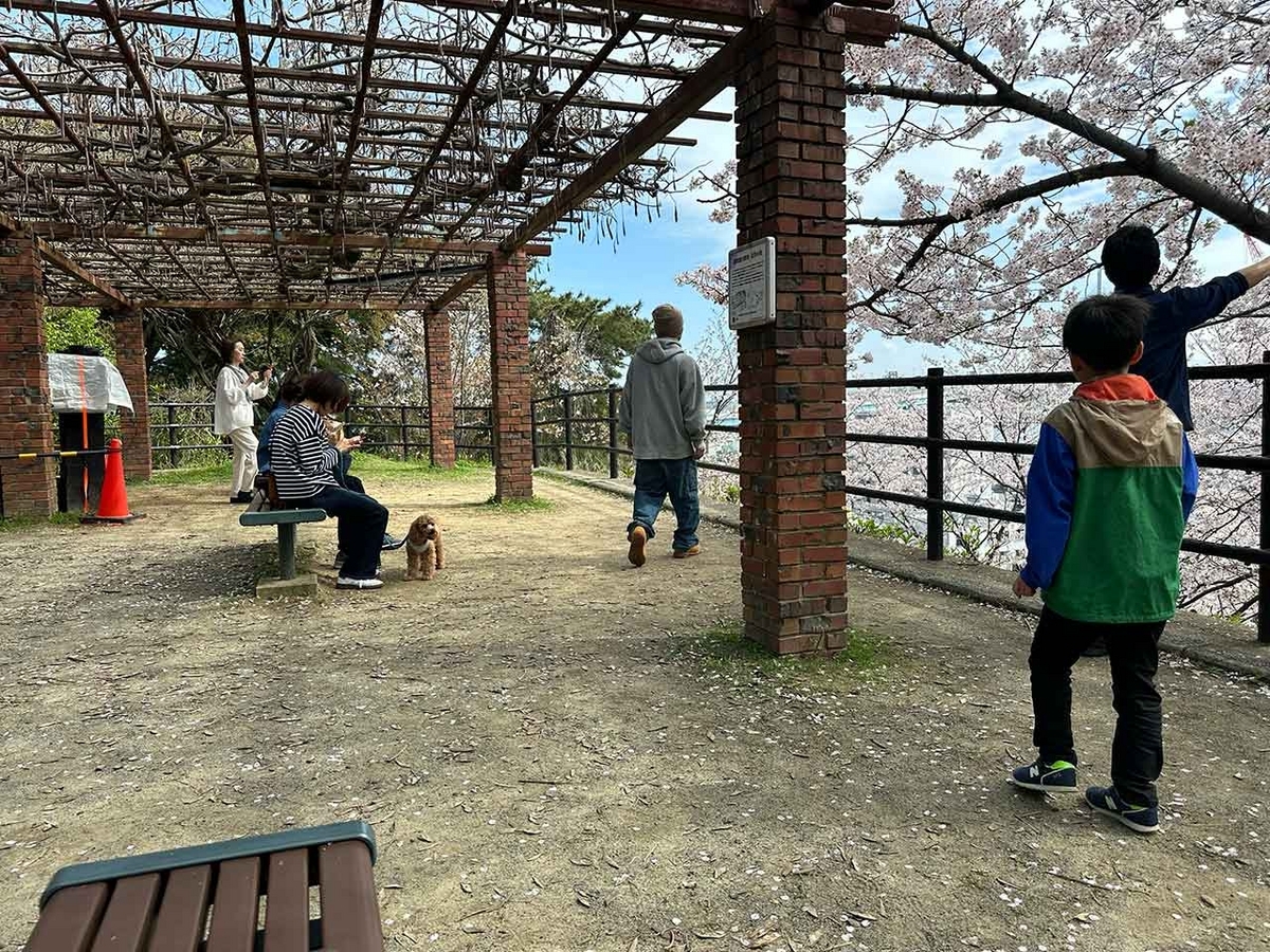 「私のペースで楽しくランラン♪ランニング134本目」福岡の桜の名所 西公園に満開の桜を観に行くコース【適材適食】小園亜由美（管理栄養士・野菜ソムリエ上級プロ）糖尿病専門・甲状腺専門二田哲博クリニック勤務＠福岡姪浜・福岡天神