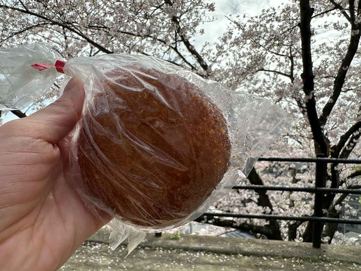 「私のペースで楽しくランラン♪ランニング134本目」福岡の桜の名所 西公園に満開の桜を観に行くコース【適材適食】小園亜由美（管理栄養士・野菜ソムリエ上級プロ）糖尿病専門・甲状腺専門二田哲博クリニック勤務＠福岡姪浜・福岡天神