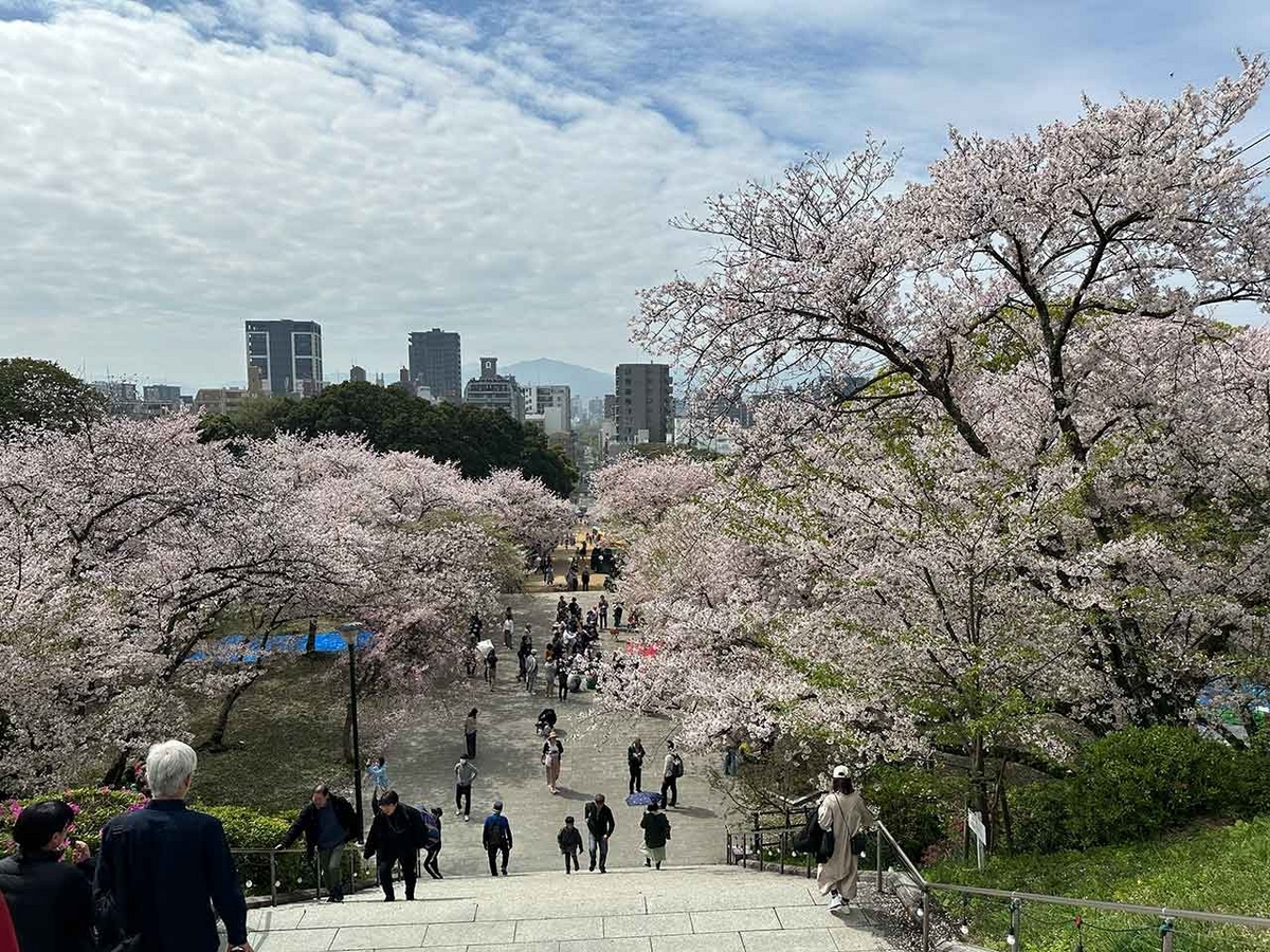 「私のペースで楽しくランラン♪ランニング134本目」福岡の桜の名所 西公園に満開の桜を観に行くコース【適材適食】小園亜由美（管理栄養士・野菜ソムリエ上級プロ）糖尿病専門・甲状腺専門二田哲博クリニック勤務＠福岡姪浜・福岡天神