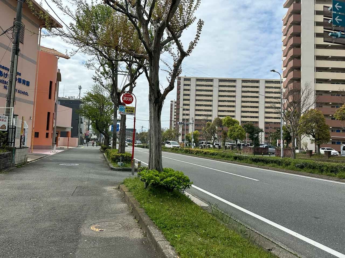 「私のペースで楽しくランラン♪ランニング134本目」福岡の桜の名所 西公園に満開の桜を観に行くコース【適材適食】小園亜由美（管理栄養士・野菜ソムリエ上級プロ）糖尿病専門・甲状腺専門二田哲博クリニック勤務＠福岡姪浜・福岡天神