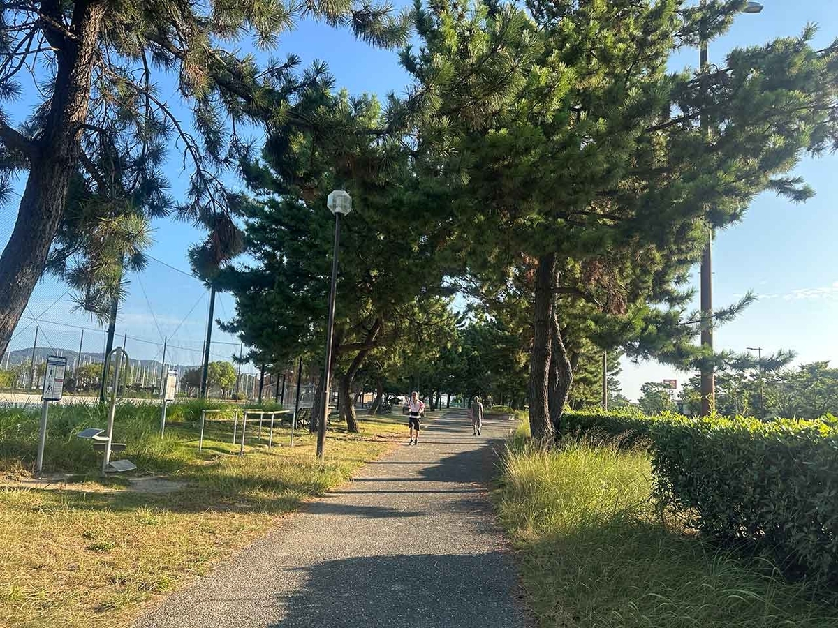 「私のペースで楽しくランラン♪ランニング154本目」マリナタウン海浜公園を廻る四角いコース【適材適食】小園亜由美（管理栄養士・野菜ソムリエ上級プロ）糖尿病専門・甲状腺専門二田哲博クリニック勤務＠福岡姪浜・福岡天神