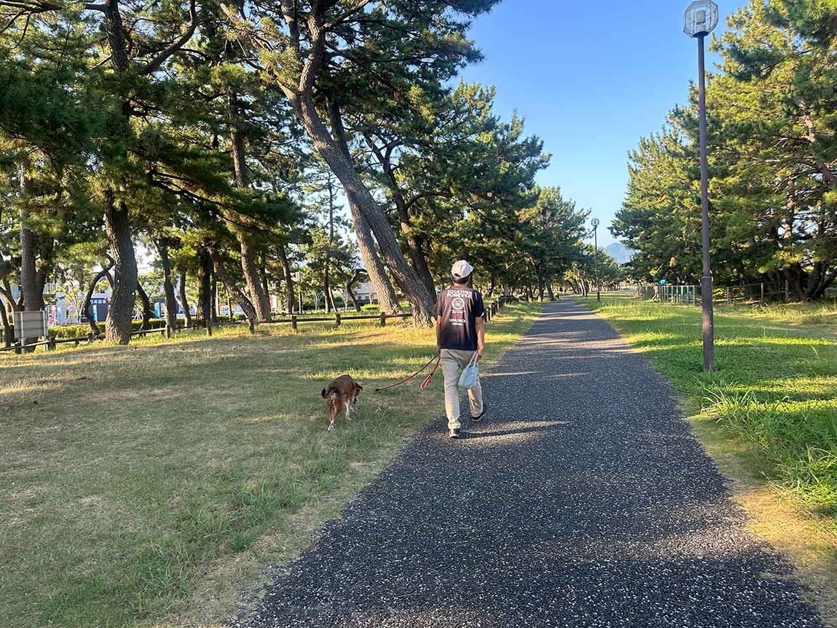 「私のペースで楽しくランラン♪ランニング154本目」マリナタウン海浜公園を廻る四角いコース【適材適食】小園亜由美（管理栄養士・野菜ソムリエ上級プロ）糖尿病専門・甲状腺専門二田哲博クリニック勤務＠福岡姪浜・福岡天神