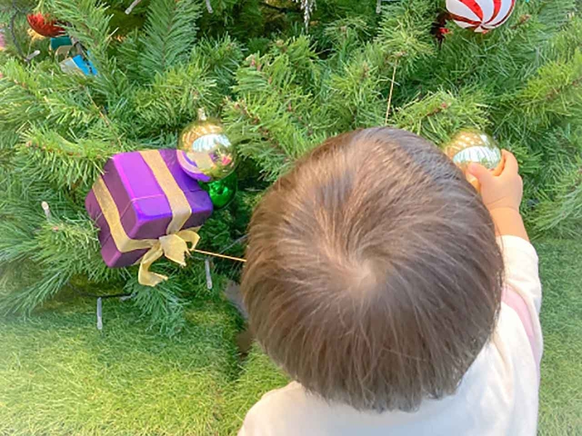 「カロリーが気になる人のクリスマス攻略法」糖尿病や脂肪・カロリーが気になるすべての人へ糖尿病専門クリニックの管理栄養士が教える上手な過ごし方（2024年版）【適材適食】小園亜由美（管理栄養士・野菜ソムリエ上級プロ）糖尿病専門・甲状腺専門クリニック勤務＠福岡姪浜・福岡天神