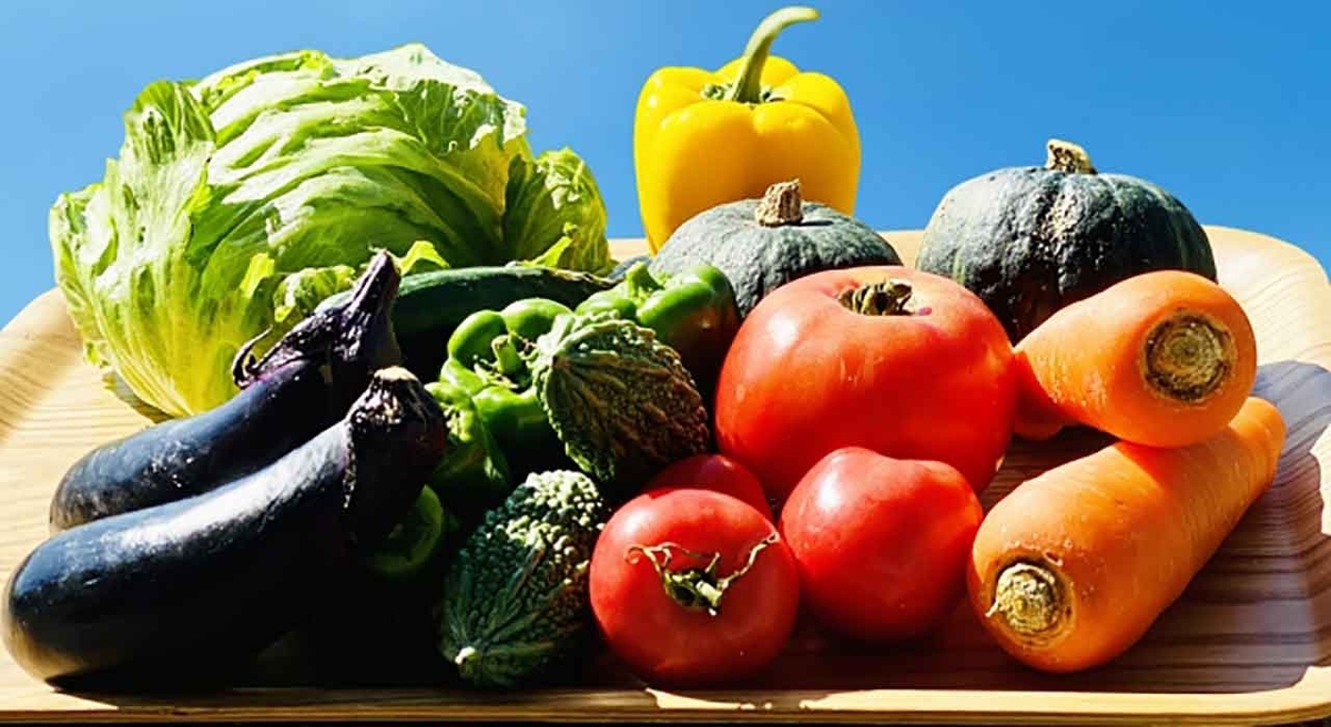 「ビタミンってなに？」身体に必要と言われるビタミンを調べてみた＠ビタミンの話その1【適材適食】小園亜由美（管理栄養士・野菜ソムリエ上級プロ）糖尿病専門・甲状腺専門二田哲博クリニック勤務＠福岡姪浜・福岡天神