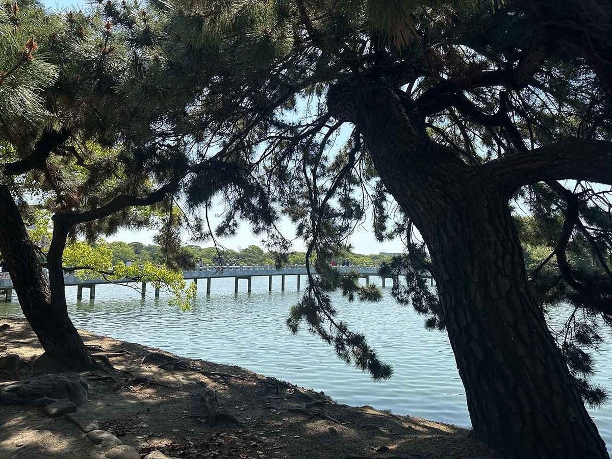 「私のペースで楽しくランラン♪ランニング212本目」大濠公園をぐるっと廻ってくるコース【適材適食】小園亜由美(管理栄養士・野菜ソムリエ上級プロ)糖尿病専門・甲状腺専門二田哲博クリニック勤務@福岡姪浜・福岡天神