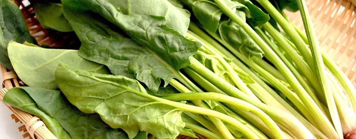 「日本人の食事摂取基準2025年改定」そこから分かったこと【適材適食】小園亜由美（管理栄養士・野菜ソムリエ上級プロ）糖尿病専門・甲状腺専門二田哲博クリニック勤務＠福岡姪浜・福岡天神