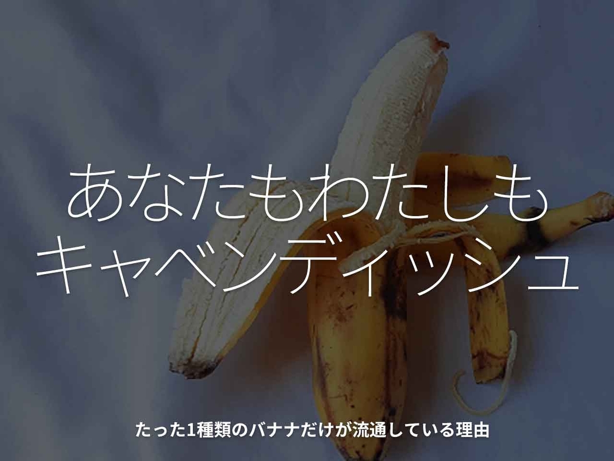 「あなたもわたしもキャベンディッシュ」たった1種類のバナナだけが流通している理由【適材適食】小園亜由美（管理栄養士・野菜ソムリエ上級プロ）糖尿病専門・甲状腺専門二田哲博クリニック勤務＠福岡姪浜・福岡天神