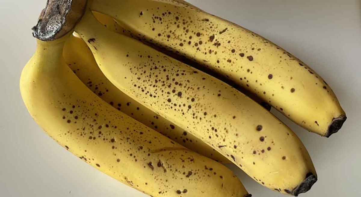 「あなたもわたしもキャベンディッシュ」たった1種類のバナナだけが流通している理由【適材適食】小園亜由美（管理栄養士・野菜ソムリエ上級プロ）糖尿病専門・甲状腺専門二田哲博クリニック勤務＠福岡姪浜・福岡天神