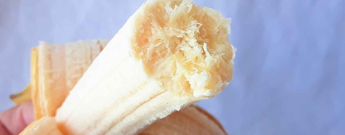 「あなたもわたしもキャベンディッシュ」たった1種類のバナナだけが流通している理由【適材適食】小園亜由美（管理栄養士・野菜ソムリエ上級プロ）糖尿病専門・甲状腺専門二田哲博クリニック勤務＠福岡姪浜・福岡天神