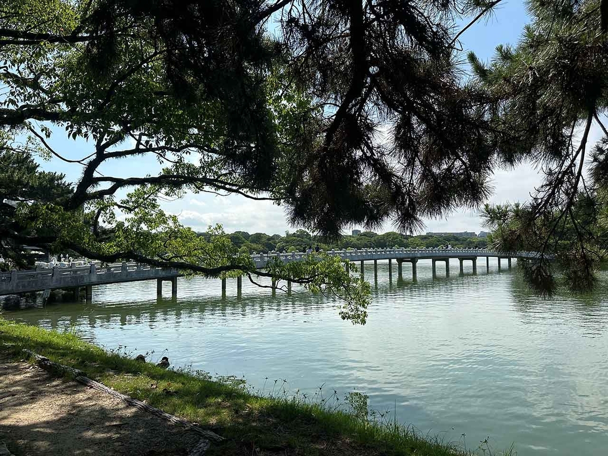 「私のペースで楽しくランラン♪ランニング224本目」姪浜から大濠公園を廻って戻ってくるコース【適材適食】小園亜由美（管理栄養士・野菜ソムリエ上級プロ）糖尿病専門・甲状腺専門二田哲博クリニック勤務＠福岡姪浜・福岡天神