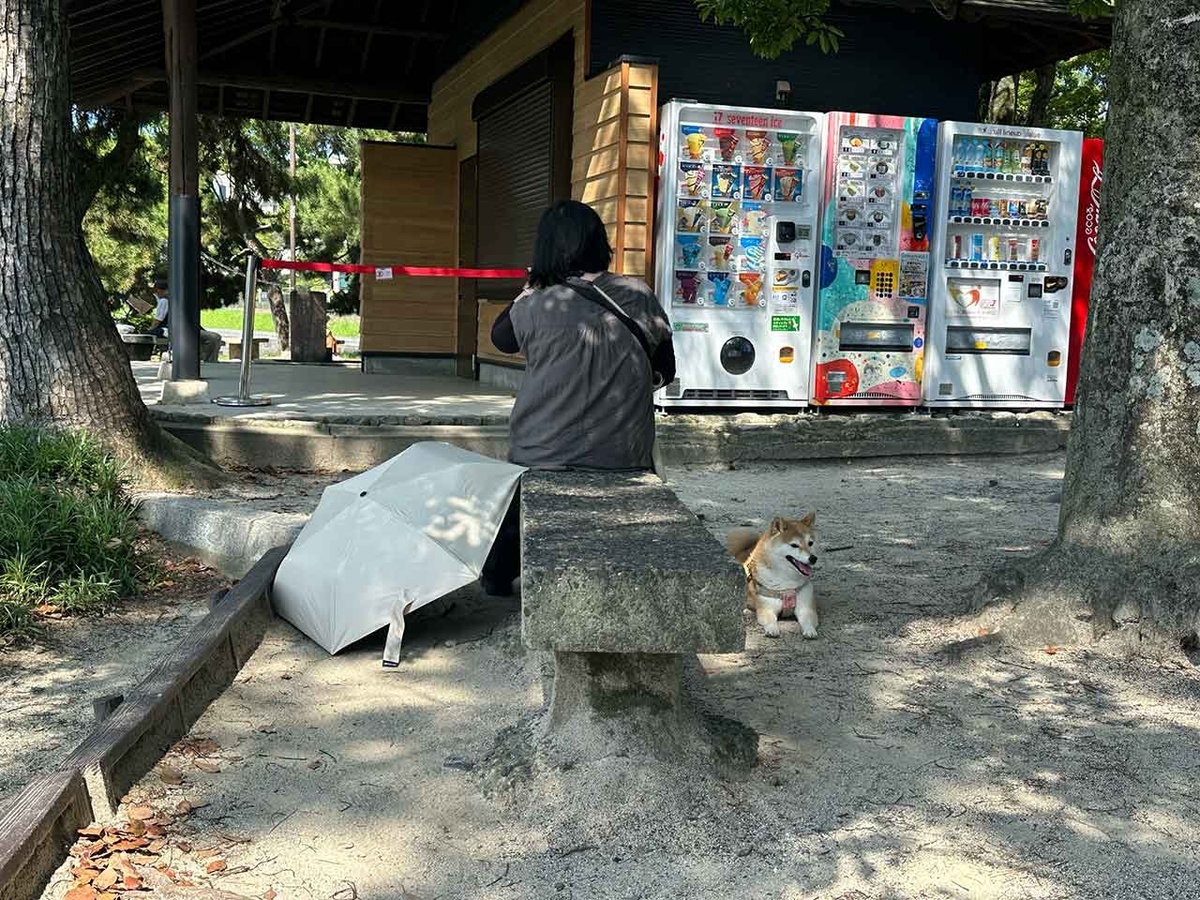 「私のペースで楽しくランラン♪ランニング224本目」姪浜から大濠公園を廻って戻ってくるコース【適材適食】小園亜由美（管理栄養士・野菜ソムリエ上級プロ）糖尿病専門・甲状腺専門二田哲博クリニック勤務＠福岡姪浜・福岡天神