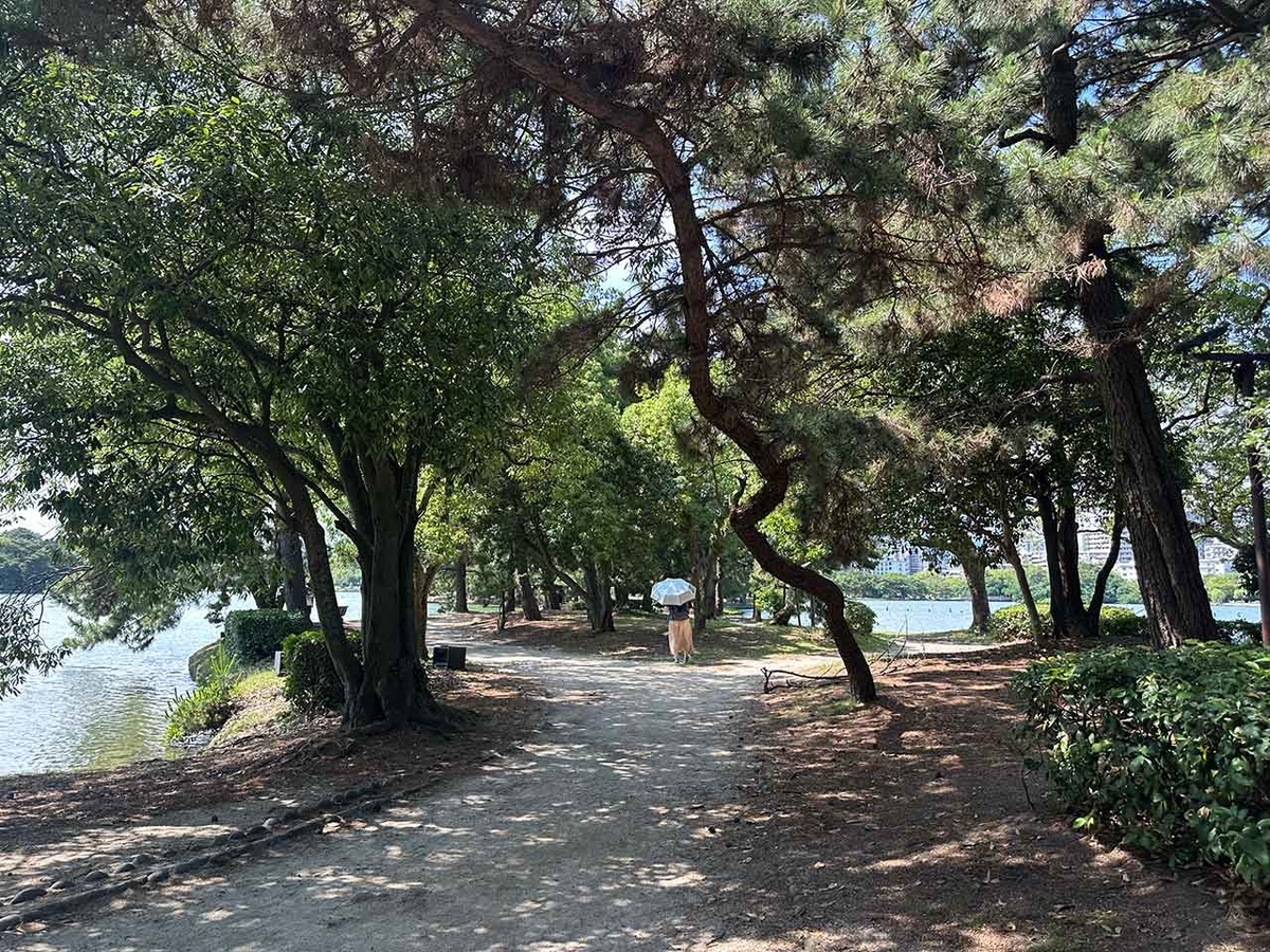 「私のペースで楽しくランラン♪ランニング224本目」姪浜から大濠公園を廻って戻ってくるコース【適材適食】小園亜由美（管理栄養士・野菜ソムリエ上級プロ）糖尿病専門・甲状腺専門二田哲博クリニック勤務＠福岡姪浜・福岡天神