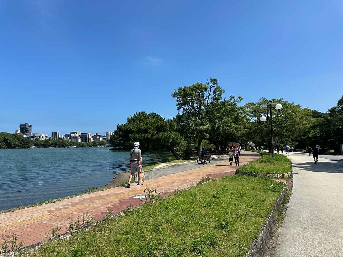 「私のペースで楽しくランラン♪ランニング224本目」姪浜から大濠公園を廻って戻ってくるコース【適材適食】小園亜由美（管理栄養士・野菜ソムリエ上級プロ）糖尿病専門・甲状腺専門二田哲博クリニック勤務＠福岡姪浜・福岡天神