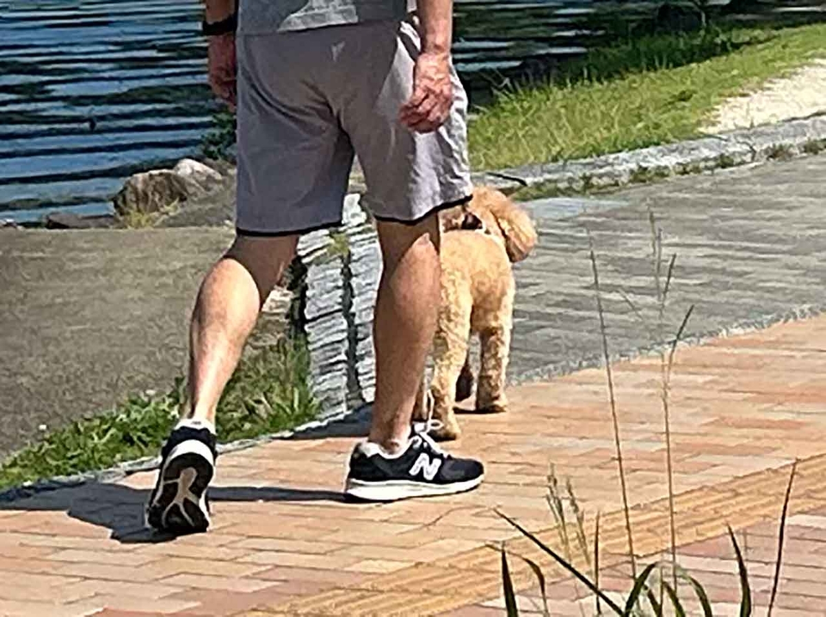 「私のペースで楽しくランラン♪ランニング224本目」姪浜から大濠公園を廻って戻ってくるコース【適材適食】小園亜由美（管理栄養士・野菜ソムリエ上級プロ）糖尿病専門・甲状腺専門二田哲博クリニック勤務＠福岡姪浜・福岡天神