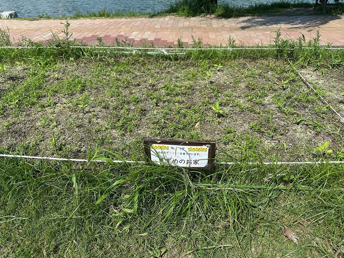 「私のペースで楽しくランラン♪ランニング224本目」姪浜から大濠公園を廻って戻ってくるコース【適材適食】小園亜由美（管理栄養士・野菜ソムリエ上級プロ）糖尿病専門・甲状腺専門二田哲博クリニック勤務＠福岡姪浜・福岡天神
