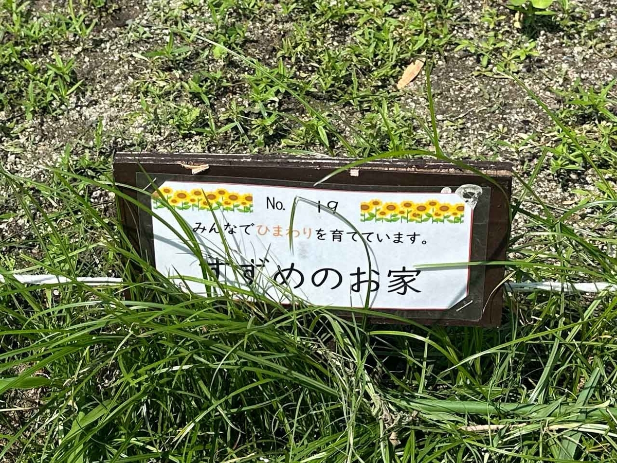 「私のペースで楽しくランラン♪ランニング224本目」姪浜から大濠公園を廻って戻ってくるコース【適材適食】小園亜由美（管理栄養士・野菜ソムリエ上級プロ）糖尿病専門・甲状腺専門二田哲博クリニック勤務＠福岡姪浜・福岡天神
