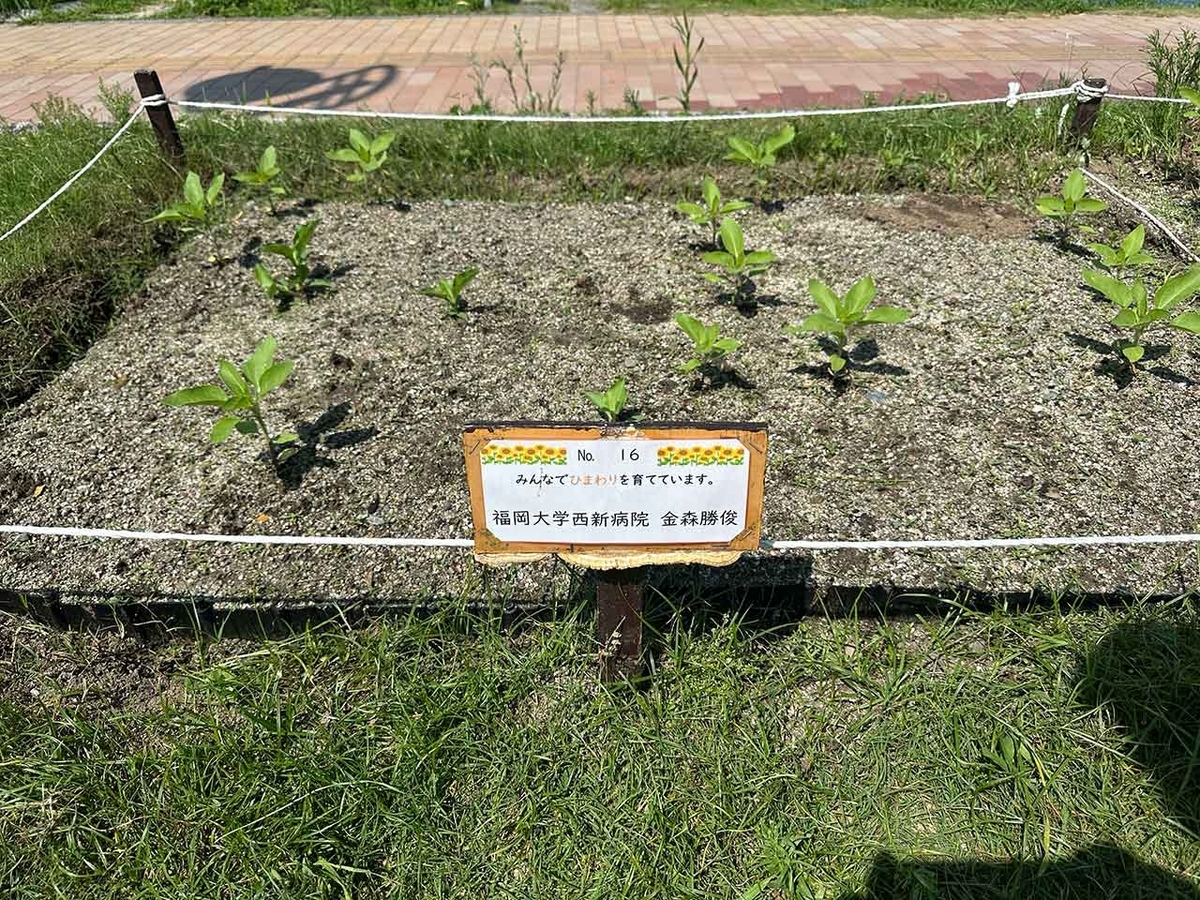 「私のペースで楽しくランラン♪ランニング224本目」姪浜から大濠公園を廻って戻ってくるコース【適材適食】小園亜由美（管理栄養士・野菜ソムリエ上級プロ）糖尿病専門・甲状腺専門二田哲博クリニック勤務＠福岡姪浜・福岡天神
