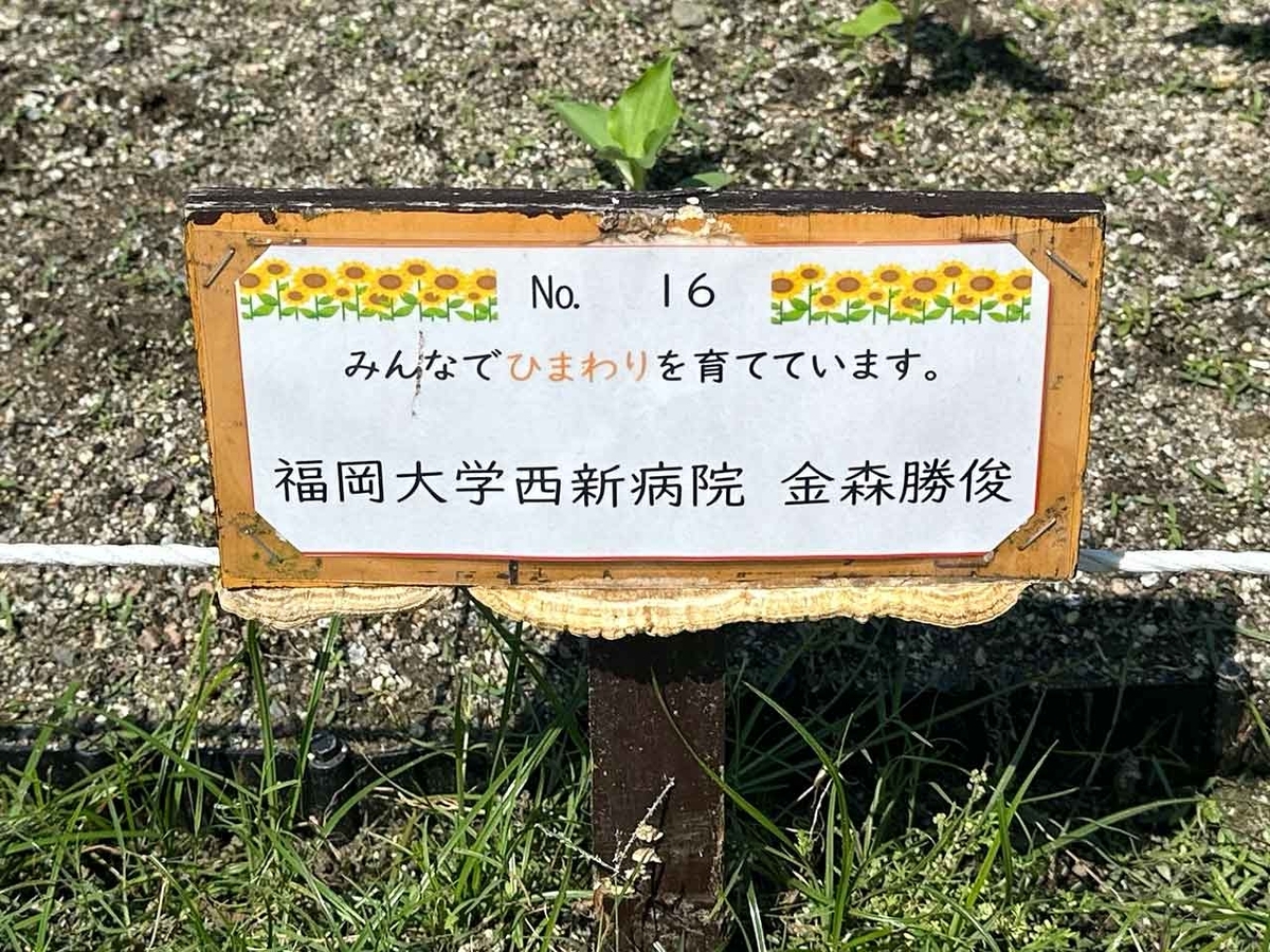 「私のペースで楽しくランラン♪ランニング224本目」姪浜から大濠公園を廻って戻ってくるコース【適材適食】小園亜由美（管理栄養士・野菜ソムリエ上級プロ）糖尿病専門・甲状腺専門二田哲博クリニック勤務＠福岡姪浜・福岡天神