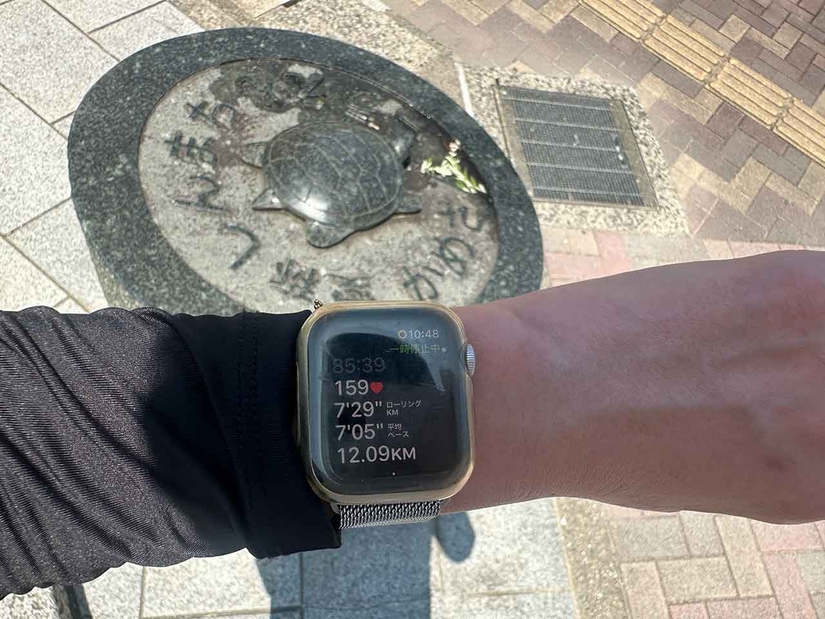 「私のペースで楽しくランラン♪ランニング224本目」姪浜から大濠公園を廻って戻ってくるコース【適材適食】小園亜由美（管理栄養士・野菜ソムリエ上級プロ）糖尿病専門・甲状腺専門二田哲博クリニック勤務＠福岡姪浜・福岡天神