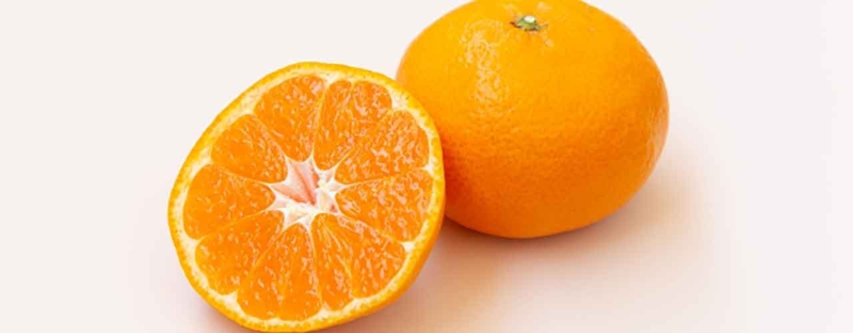 「ミカンからアボカドに？！」温暖化で栽培地に大きな変化？！【適材適食】小園亜由美（管理栄養士・野菜ソムリエ上級プロ）糖尿病専門・甲状腺専門二田哲博クリニック勤務＠福岡姪浜・福岡天神