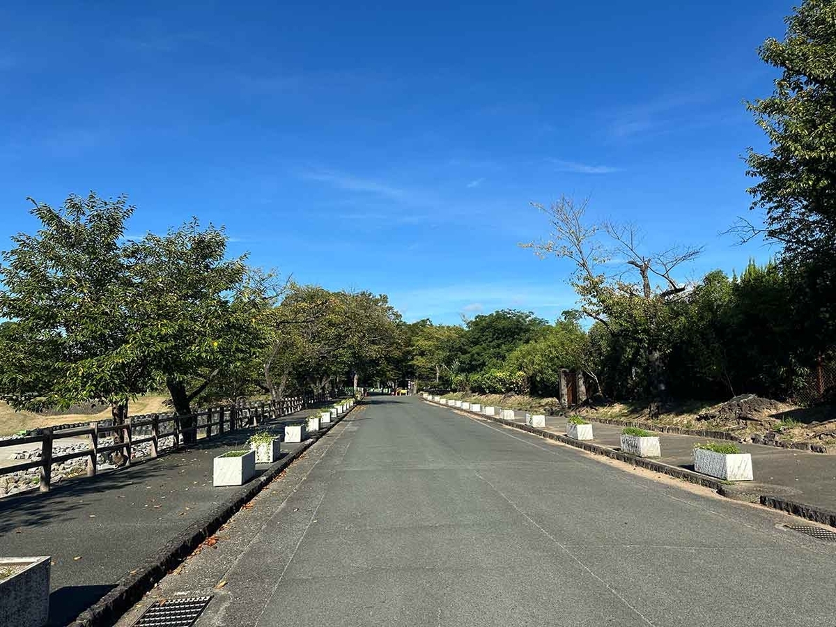 「旅ラン：朝の熊本城をぐるっと走ってみた★後篇」ランラン♪ランニング242本目【適材適食】小園亜由美（管理栄養士・野菜ソムリエ上級プロ）糖尿病専門・甲状腺専門二田哲博クリニック勤務＠福岡姪浜・福岡天神