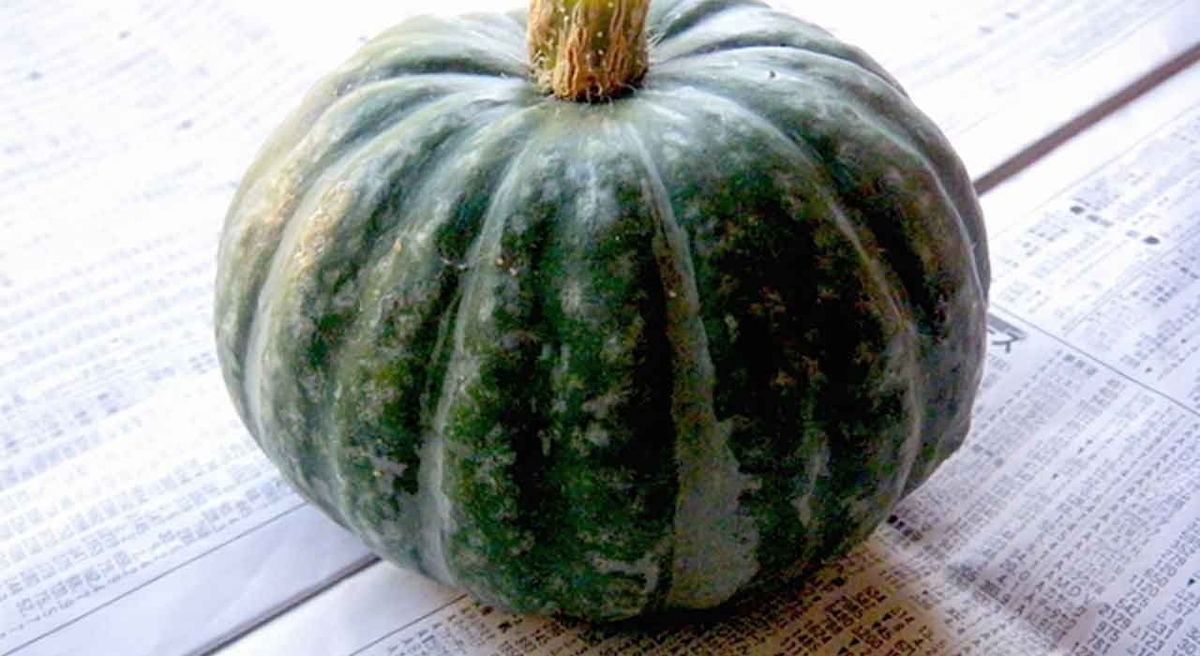 「旬の役菜 11月【カボチャ】」今が旬★ 美味しくて+栄養価が高くて+安くて=元気にしてくれる季節の野菜を紹介【適材適食】小園亜由美(管理栄養士・野菜ソムリエ上級プロ)糖尿病専門・甲状腺専門二田哲博クリニック勤務@福岡姪浜・福岡天神