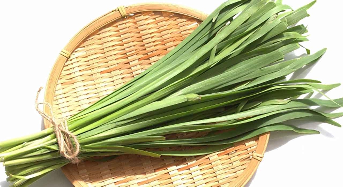 「旬の役菜 5月【ニラ】」今が旬★　美味しくて＋栄養価が高くて＋安くて＝元気にしてくれる季節の野菜を紹介【適材適食】小園亜由美（管理栄養士・野菜ソムリエ上級プロ）糖尿病専門・甲状腺専門二田哲博クリニック勤務＠福岡姪浜・福岡天神