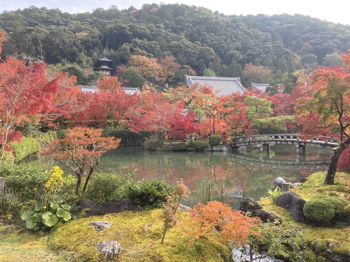 f:id:kozotan:20211123170312j:plain