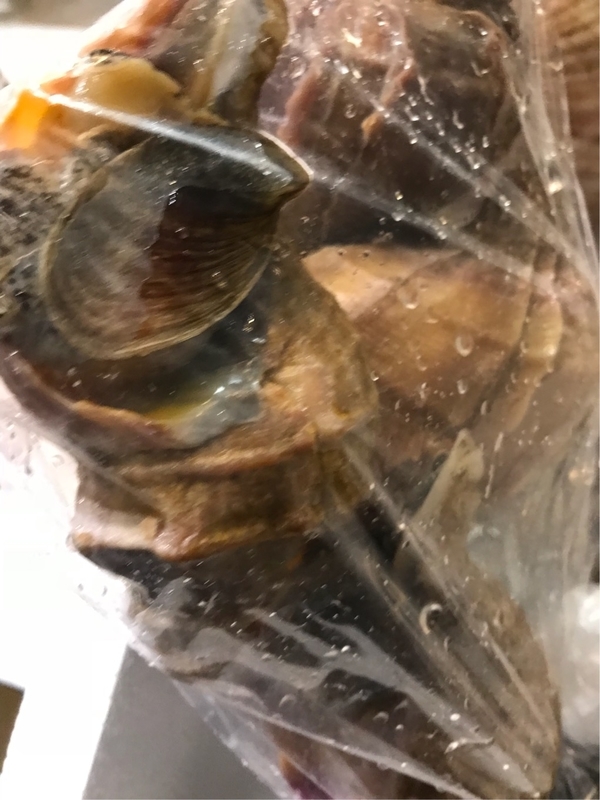 イメージ 7