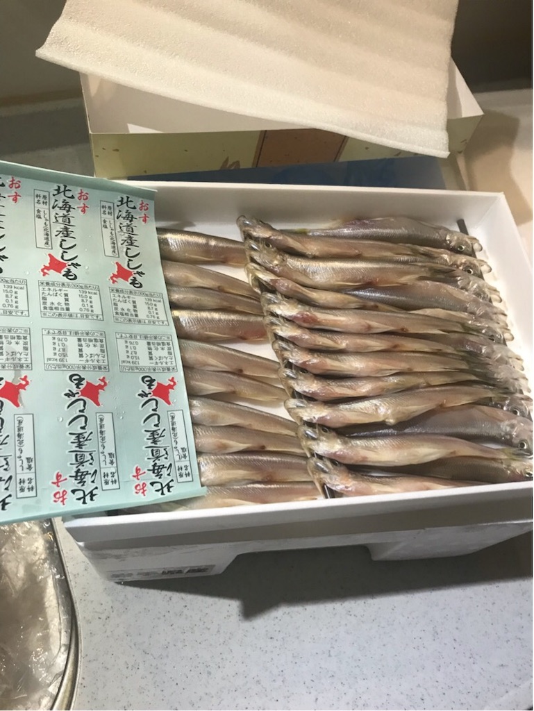 f:id:kozumakun:20191125142012j:image